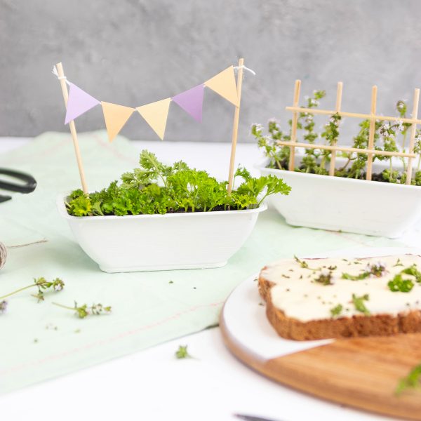 Upcycling: DIY Kräutergarten aus leeren Käseschalen