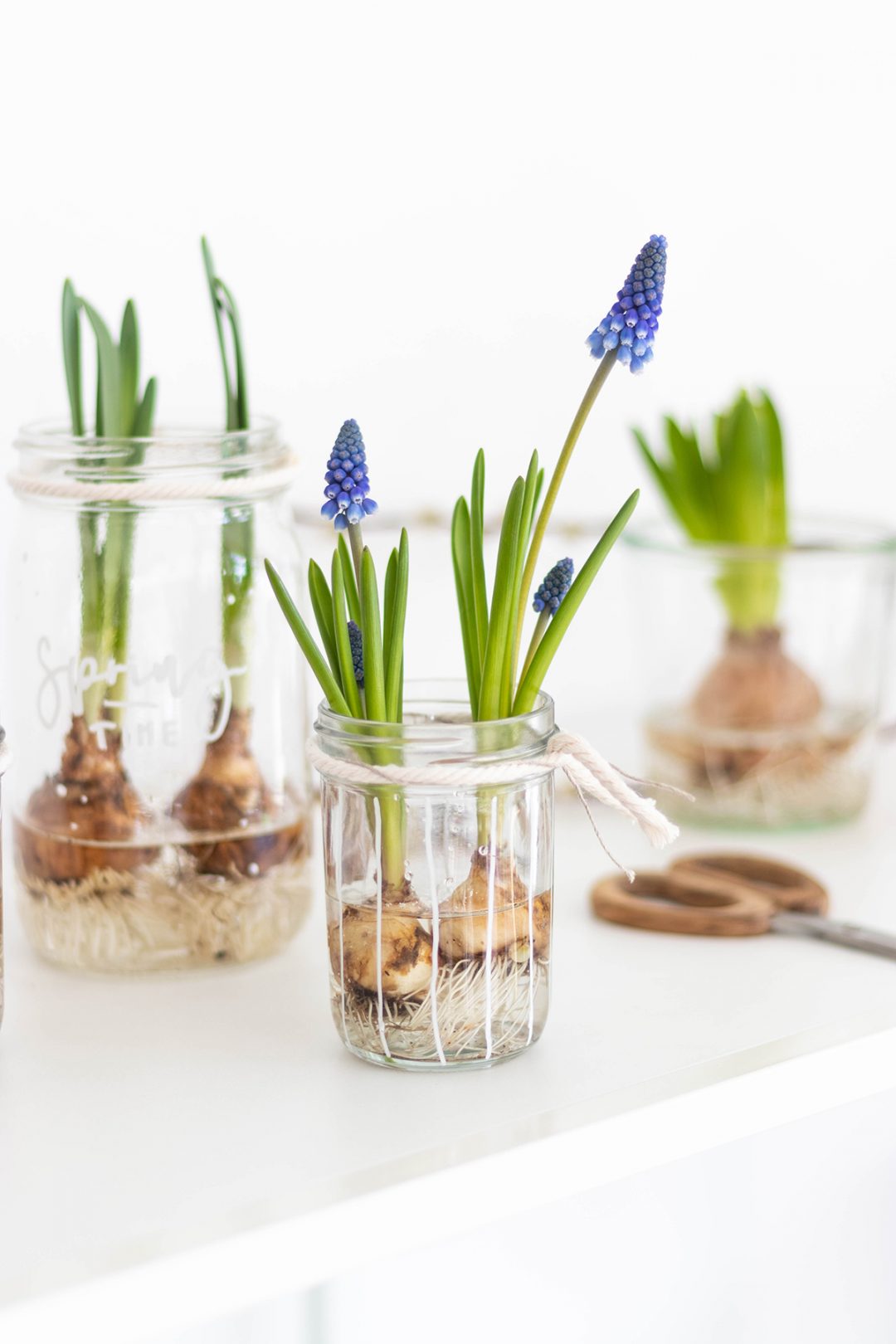 Frühlingsdeko im Glas mit Blumen