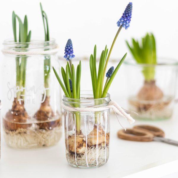 Frühlingsdeko im Glas: Dekoidee mit Blumen