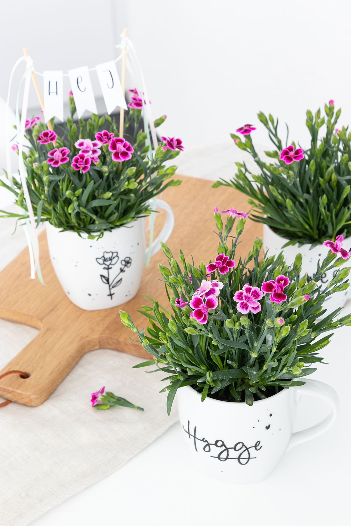 DIY Blumengeschenk in der Tasse basteln