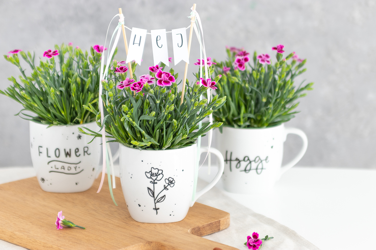 DIY Blumengeschenk in der Tasse basteln