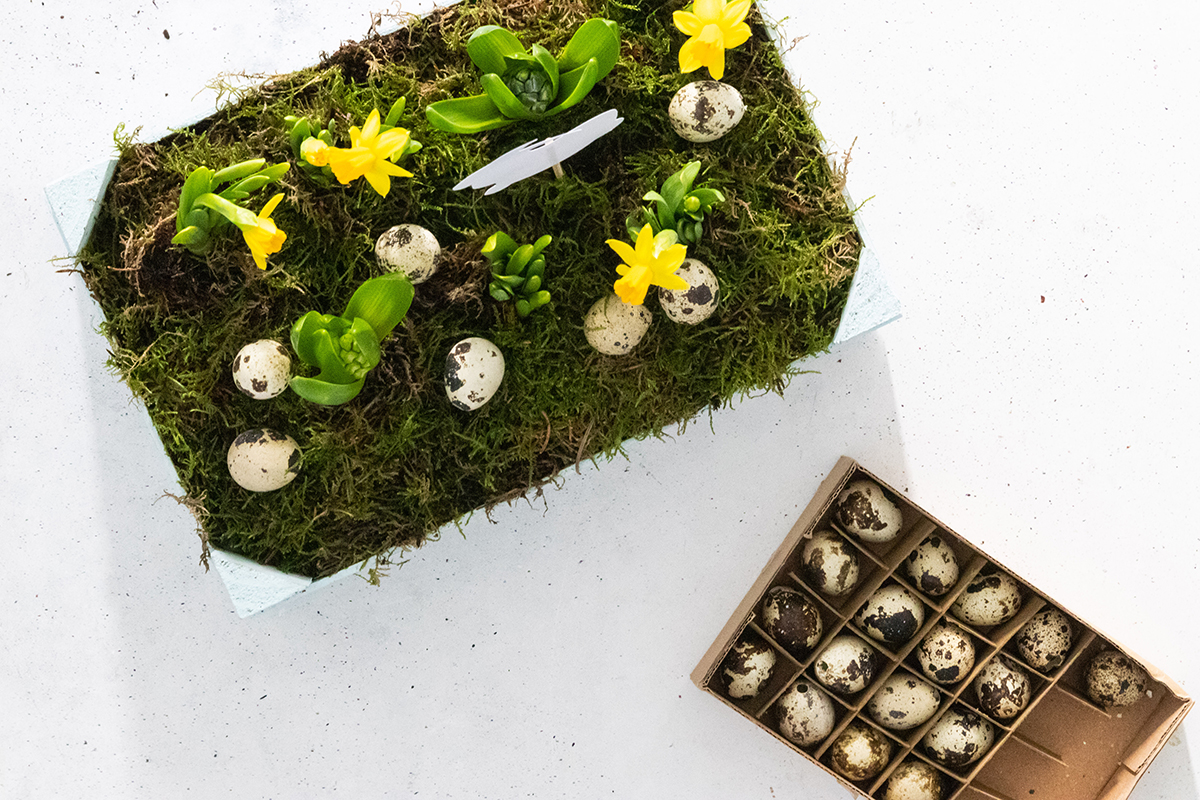 DIY Kiste bepflanzen für Ostern