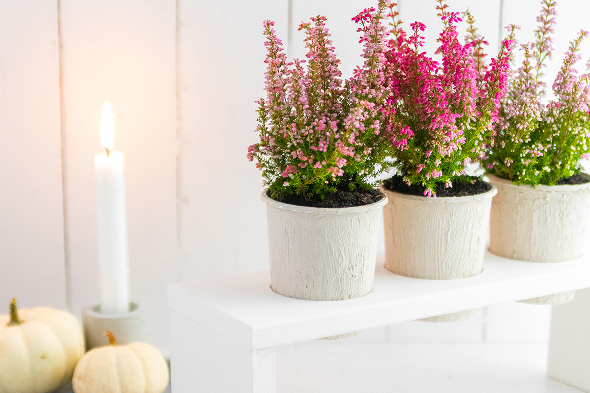 DIY Blumenbank für die Herbstdeko basteln